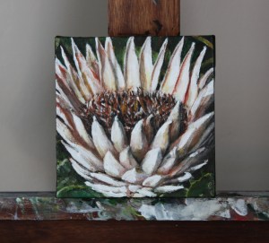 Protea