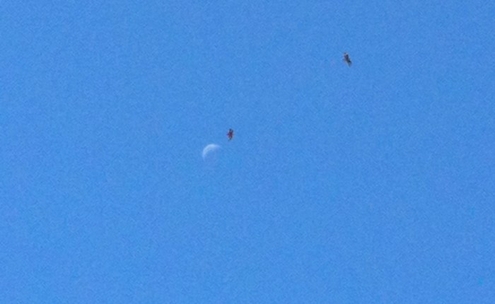 Expectations: Letting Go of&nbsp;Outcomes.